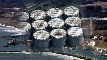 "일본이 후쿠시마 오염수 방류하면 동해로 유입" / YTN