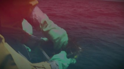 후쿠시마 오염수 바다로? 정부 "적극 대응" / YTN