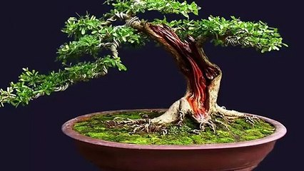 구포출장안마 -후불100%ョOiOE2997E5327｛카톡USA59｝  구포전지역출장안마 구포오피걸 구포출장마사지 구포안마 구포출장마사지 구포콜걸샵⊂㌤∊