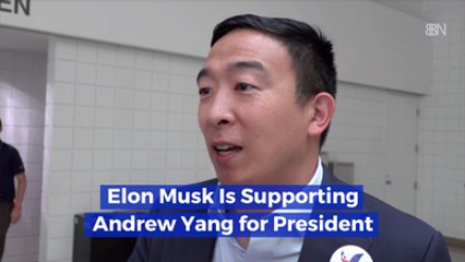 Andrew Yang Gets A Tesla Endorsement