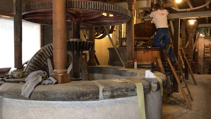 Dans les coulisses de fabrication de la farine