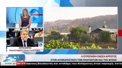 Κρανίου τόπος το πευκοδάσος με τα άγρια ζώα.  Αναγκαίο τώρα το επιχειρησιακό σχέδιο προς την ΕΕ