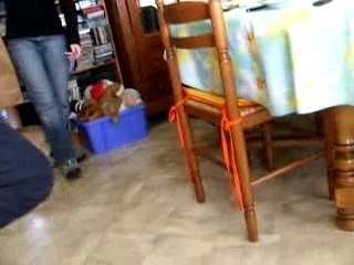 retrouvailles crispy et berlioz carlins 3