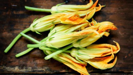 How to Prepare Squash Blossoms and Why You Should Eat More of Them