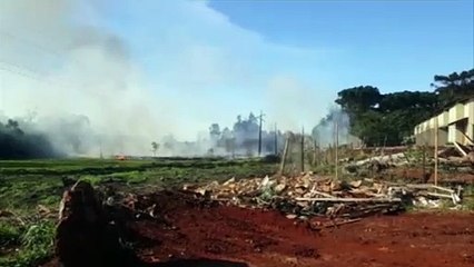 Incêndio em vegetação ameaçava residências no Bairro Brasília