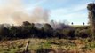 Incêndio atinge área de mata na Região do Gralha Azul