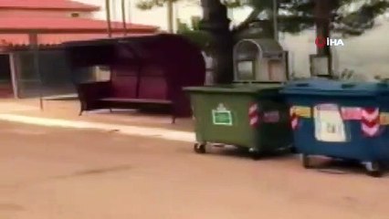 Yunanistan'daki orman yangını devam ediyor: 8 yaralı