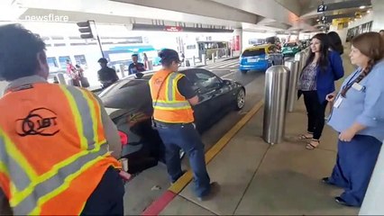 Heartwarming and intense moment runaway dog at Los Angeles airport rescued underneath car