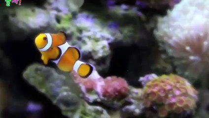 태종대출장안마 -후불100%ョO7OW5222W7802｛카톡LGT010｝  태종대전지역출장안마 태종대오피걸 태종대출장마사지 태종대안마 태종대출장마사지 태종대콜걸샵ゅて㍍