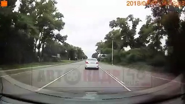 Un arbre tombe en travers de la route juste au moment où une voiture passe