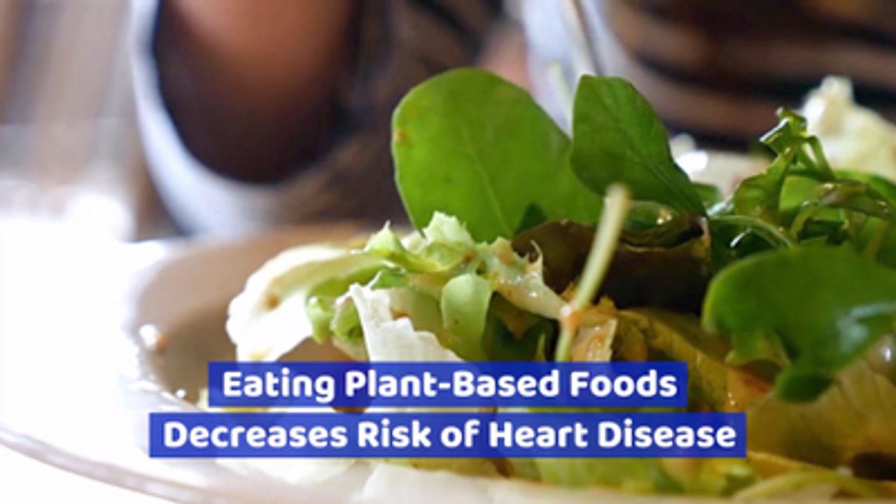 Plant Based Foods Reduce Chances Of Heart Disease