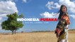 INDONESIA PUSAKA | Cover by Rachel, Diora Dior & Putri Juby