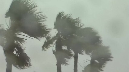 [날씨] 태풍 영향 전국에 비바람...동해안 300mm 호우 / YTN