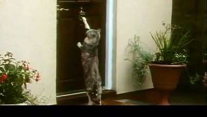 괴산출장안마 -후불1ØØ%ョO7OW5222W7802｛카톡VV23} 괴산전지역출장마사지 괴산오피걸 괴산출장안마 괴산출장마사지 괴산출장안마 괴산출장콜걸샵안마 괴산출장아로마괴산출장샵≒≚∌