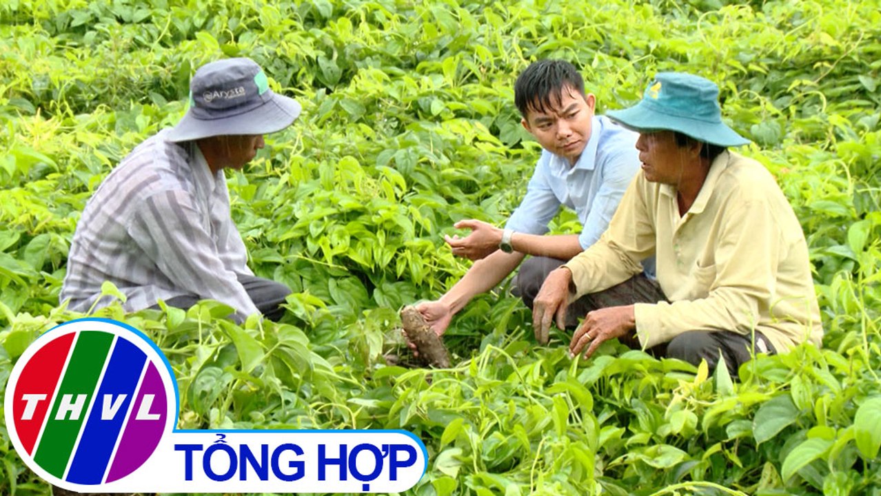 THVL | Nông thôn ngày nay: Vĩnh Long, nông dân làm theo lời Bác