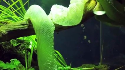 광양출장안마 -후불100%ョØ7ØM7575M0054｛카톡OYO78｝  광양전지역출장안마 광양오피걸 광양출장마사지 광양안마 광양출장마사지 광양콜걸샵≦㌑あ