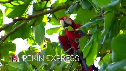 PEKIN EXPRESS LA ROUTE DES 50 VOLCANS 2019 EPISODE 5