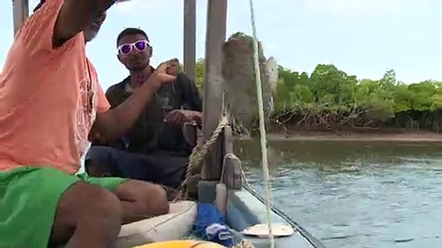 Kenya : l'archipel de Lamu menacé par un projet de centrale à charbon