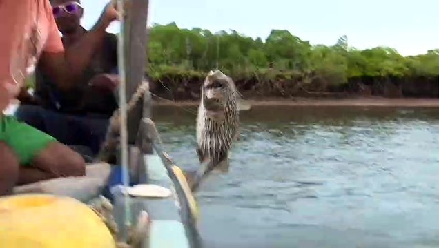 Lamu Archipelago threatened by a coal-fired power plant project