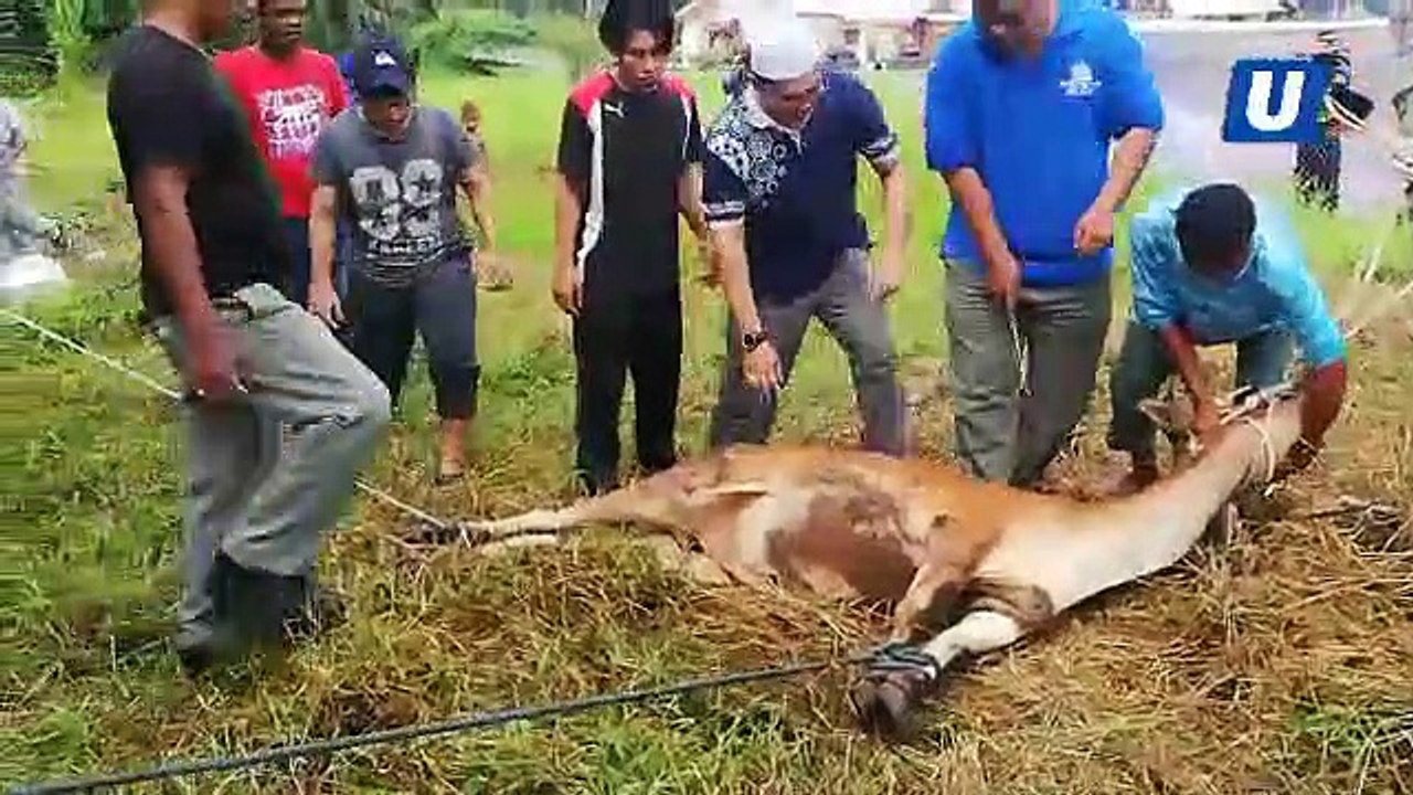 Pengalaman mualaf Orang Asli merasai erti korban