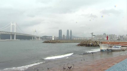 '태풍 가장자리에 들어...' 이 시각 부산·경남 상황 / YTN