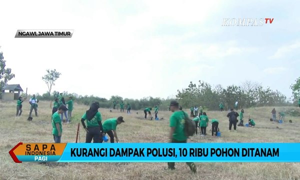 Kurangi Dampak Polusi, 10.000 Pohon Ditanam di Tepi Tol Ngawi-Kertosono
