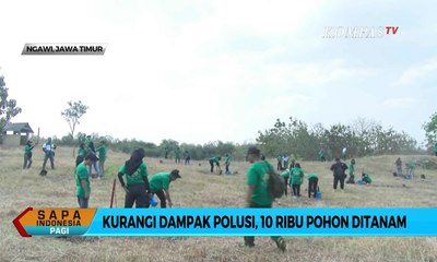 Kurangi Dampak Polusi, 10.000 Pohon Ditanam di Tepi Tol Ngawi-Kertosono