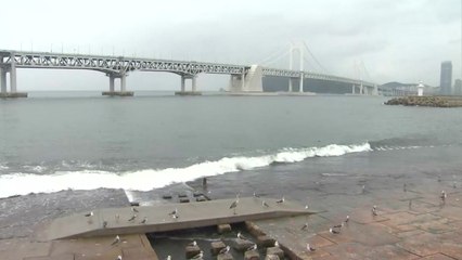 태풍 가장자리에 들어...이 시각 부산·경남 상황 / YTN