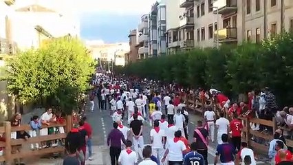 Primer encierro de Tafalla 2019 con ganadería Las Monjas