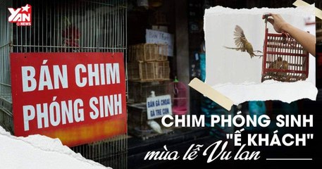 Chim phóng sanh "Ế" khách trong mùa lễ Vu Lan
