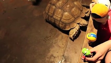 구포출장안마 -후불100%ョØ1ØM7685M6221｛카톡MGM1472｝  구포전지역출장안마 구포오피걸 구포출장마사지 구포안마 구포출장마사지 구포콜걸샵≒◑⾮