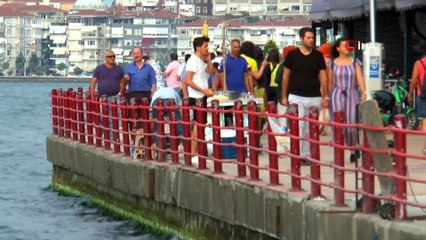 Depremin izleri silindi, ölen kişilerin acısı hala yaşıyor... Göçük altında kaybettiği ailesinden 11 kişinin acısını 20 yıldır yaşıyor