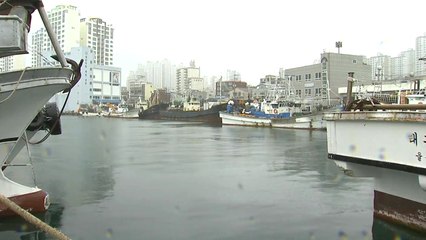 울산, 태풍 '크로사'에 큰 영향 없어 / YTN