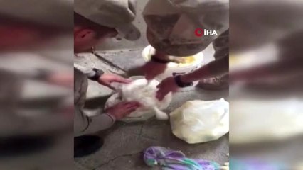 Donmuş tereyağı kovasında 1 kilo 205 gram esrar çıktı