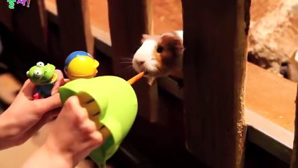 구포출장안마 -후불100%ョO7OW5222W7802｛카톡LGT010｝  구포전지역출장안마 구포오피걸 구포출장마사지 구포안마 구포출장마사지 구포콜걸샵み㌫ぽ