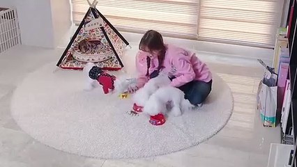 인제출장안마 -후불100%ョO7OW5222W6739｛카톡CS69｝  인제전지역출장안마 인제오피걸 인제출장마사지 인제안마 인제출장마사지 인제콜걸샵べとほ