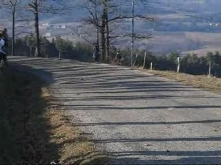 Rallye Monté Carlo 2008