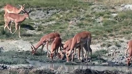 월곶출장안마 -후불1ØØ%ョOiOV2671V8135｛카톡ZHF526｝ 월곶전지역출장마사지 월곶오피걸 월곶출장안마 월곶출장마사지 월곶출장안마 월곶출장콜걸샵안마 월곶출장아로마월곶출장샵㌬∪ざ