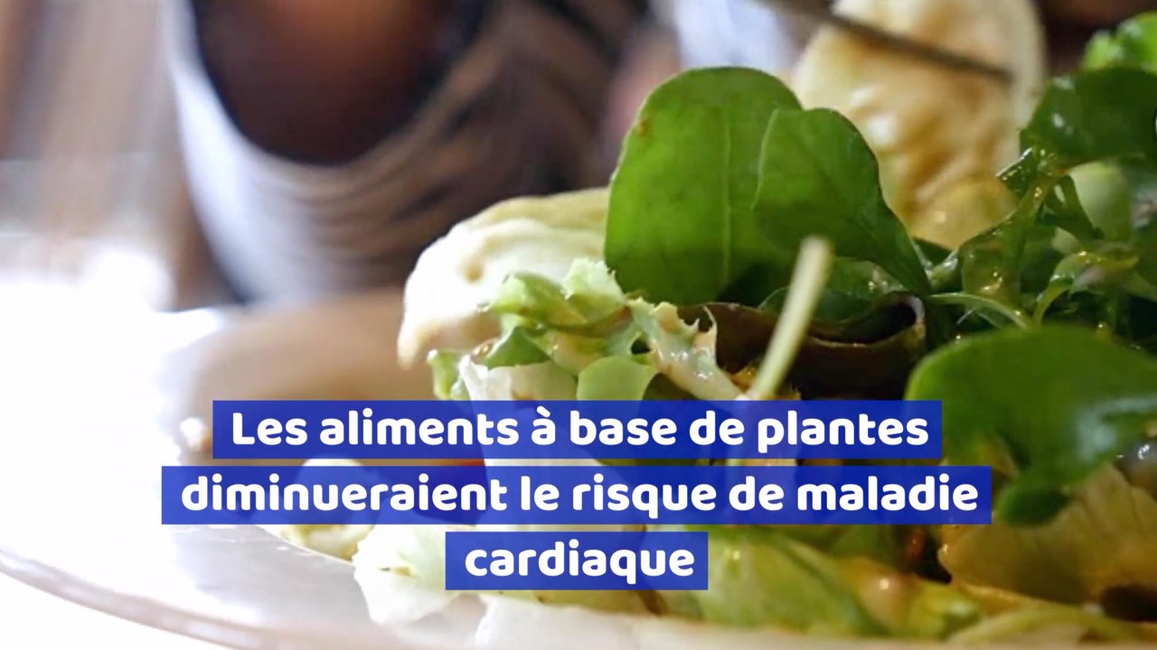 Les aliments à base de plantes diminueraient le risque de maladie cardiaque