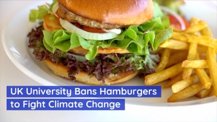 No Burgers And No Climate Change At This College