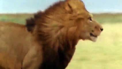 상록출장안마 -후불1ØØ%ョOiOW2671W8135｛카톡LA369｝ 상록전지역출장마사지 상록오피걸 상록출장안마 상록출장마사지 상록출장안마 상록출장콜걸샵안마 상록출장아로마상록출장샵◝≉く