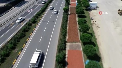 Fındığı kurutmak için sahil yolunu mesken tuttular