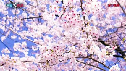 Produce_4