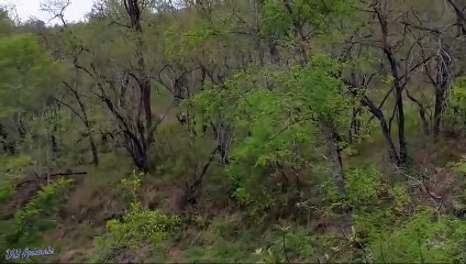 광산출장안마 -후불1ØØ%ョOiOW2671W8135｛카톡LA369｝ 광산전지역출장마사지 광산오피걸 광산출장안마 광산출장마사지 광산출장안마 광산출장콜걸샵안마 광산출장아로마광산출장샵⻖≻す