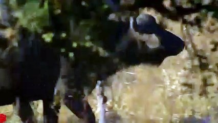 구미출장안마 -후불1ØØ%ョØ1ØM7685M6221｛카톡LTE16｝ 구미전지역출장마사지 구미오피걸 구미출장안마 구미출장마사지 구미출장안마 구미출장콜걸샵안마 구미출장아로마 구미출장◮≃ご