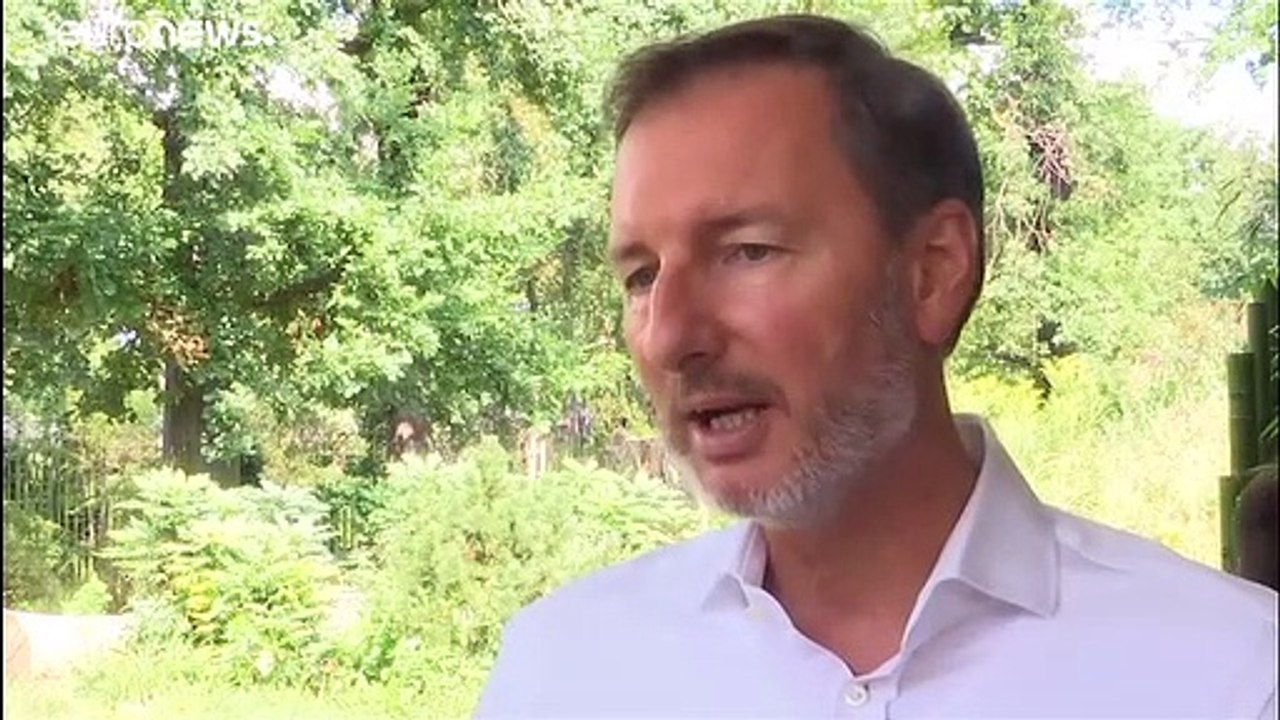 Frau Meng Meng, sind Sie schwanger?