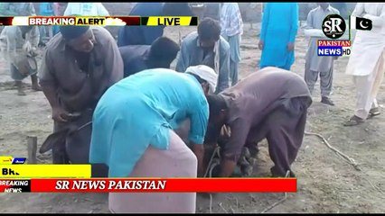 下载视频: پوري دنيا جي مسلمانن جيان اسان جي شھر باڊھ ۾ به عيدالعضىٰ ڀرپور نموني سان ملهائي وئي جڏھن ته عيد جي موقعي تي رب جي راه ۾ جانورن کي زبح ڪري سنت ابراهيم به ڀرپور طريقي سان ملهائي   ۽ غريب پاڙيسرن ۾ گوشت جي ورهاست پڻ ڪئي وئي  ماڻھن عيد نماز ادا ڪري جانورن ج