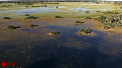 장유출장안마 -후불1ØØ%ョØ7ØM7575M0069｛카톡CC6969｝ 장유전지역출장마사지 장유오피걸 장유출장안마 장유출장마사지 장유출장안마 장유출장콜걸샵안마 장유출장아로마 장유출장㌬㌴≖