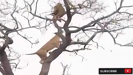 진안출장안마 -후불100%ョOiOW2671W8135｛카톡LA369｝  진안전지역출장안마 진안오피걸 진안출장마사지 진안안마 진안출장마사지 진안콜걸샵∔ぇよ