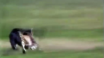 인제출장안마 -후불100%ョØ7ØM7575M0069｛카톡CC6969｝  인제전지역출장안마 인제오피걸 인제출장마사지 인제안마 인제출장마사지 인제콜걸샵ね㌰㌽